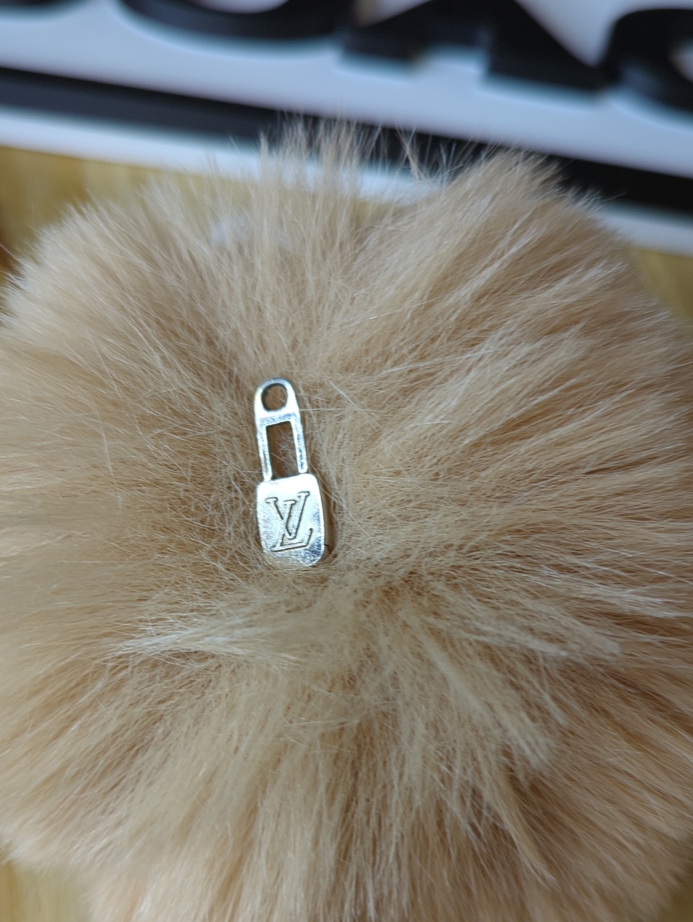 (0083) Louis Vuitton Zipper Pull